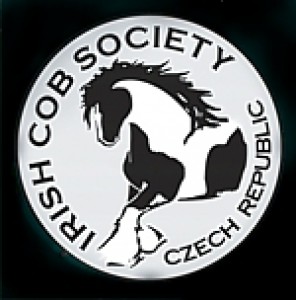 irish-cob-society.jpg